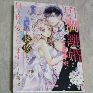 ☆円満離婚するはずが、帝王と呼ばれる旦那様を誘惑したら昼も夜も愛されてます/若菜モモ