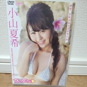 小山夏希/なっchu DVD