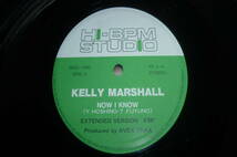  12” 3枚 HI-BPM STUDIOなど // LESLIE // KELLY MARSHALL //_画像6