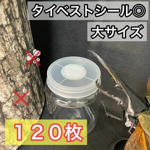 【即日or翌日発送!!】タイベストシール（不織布）120枚