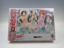 33【S.R】未開封 涼宮ハルヒの憂鬱 1000ピース ジグソーパズル 湯煙の中で 朝比奈みくる 長門有希 鶴屋さん 香川発_画像1