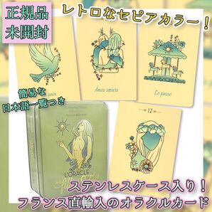★個性的!★ステンケース入りのレトロチックなオラクルカード・タロットカード