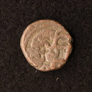 北インド チャーハマーナ朝Jitalビロン貨（900-1200）[E2845]コイン