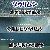 【送料無料】濾し網　3種＋交換用網 各1枚付　ゾウリムシ・ブラインシュリンプ・ミジンコ用に　分離網　ネット　メダカ飼育用品　水槽用品_画像4