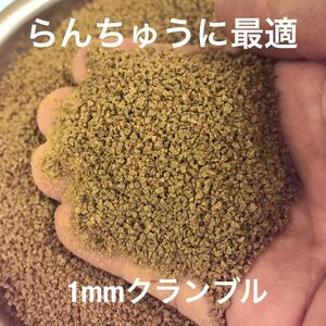 お得です らんちゅうに最適 1㎜クランブル餌 1300g入り 沈下性 金魚 錦鯉 小型魚に有効な餌です