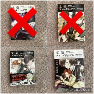 文豪ストレイドッグス 小説 まとめ売り