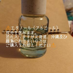 ザ・ボディショップ　THE BODY SHOP 【ホワイトムスク ローオードトワレ】30ml　残量たっぷり　エタノール成分含む