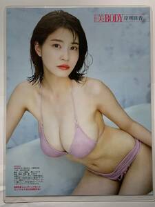 【厚手ラミネート加工】岸明日香　水着　A4変サイズ　雑誌切り抜き ３ページ EX大衆 2021年1月号 【グラビア】-V11