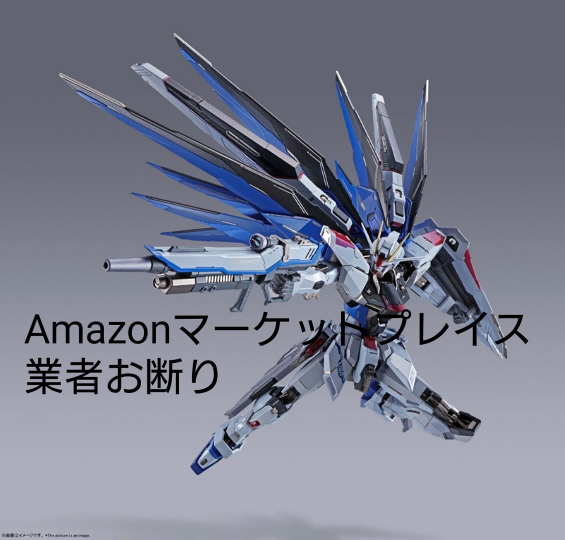 METAL BUILD フリーダムガンダム CONCEPT2 新品-