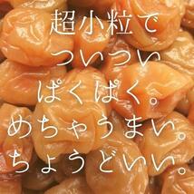 紀州小梅　はちみつ梅　500g　訳あり　送料無料　規格外　ポスト投函　産地直送　ちょうどいい　梅干し　はちみつ漬け　和歌山_画像1