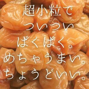 紀州小梅　はちみつ梅　500g　訳あり　送料無料　規格外　ポスト投函　産地直送　ちょうどいい　梅干し　はちみつ漬け　和歌山