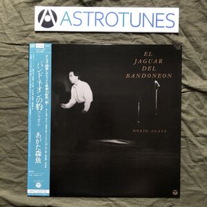 傷なし美盤 美ジャケ ほぼ新品 レア盤 1987年 オリジナル盤 あがた森魚 Morio Agata LPレコード バンドネオンの豹 帯付大村憲司 矢野顕子