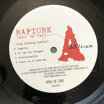 2000年 国内盤 オリジナルリリース盤 ラプチャー Rapture (Japan) LPレコード Days Go Fast Days Go Fast J-Rock インディーズロック_画像7