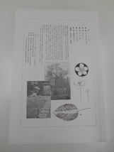 非水百花譜 梨 杉浦非水 彩色刷木版 版画 附図 2枚セット 1920年代？ 大正後半～昭和前半 春陽堂発行 なし_画像4