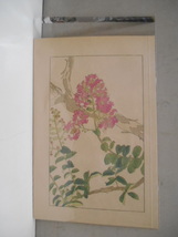 非水百花譜 百日紅 杉浦非水 彩色刷木版 版画 附図 2枚セット 1920年代？ 大正後半～昭和前半 春陽堂発行 ひゃくじつこう_画像8