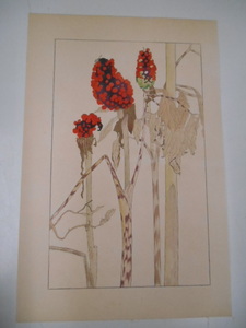  non water 100 flower . heaven south star Japanese cedar . non watercolor color . tree version woodcut . map 2 pieces set 1920 period? Taisho after half ~ Showa era front half spring .. issue .......