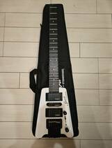 スタインバーガー Steinberger Spirit Collection GT-PRO Deluxe_画像1