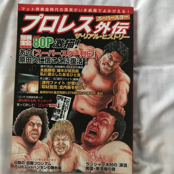 プロレススーパースター外伝 ザリアルヒストリー 別冊１４４５／旅行レジャースポーツ (その他)