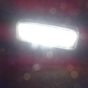 激白光 ! 交換式 ! 日産 LED ナンバー灯 ライセンス ランプ エルグランド TE52 TNE52 PE52 PNE52 250XG ライダー ハイウェイスター VIP