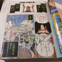 週刊少年ジャンプ 1997年34号 ONE PIECE新連載 尾田栄一郎_画像5