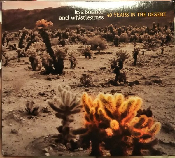 lisa bodner and whistlegrass 40 years in the desert リサ　ボドナー　ホイッスル　グラス　イン　デザート ロック ネオアコ