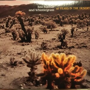lisa bodner and whistlegrass 40 years in the desert リサボドナー ホイッスルグラス インデザート ロック ネオアコ