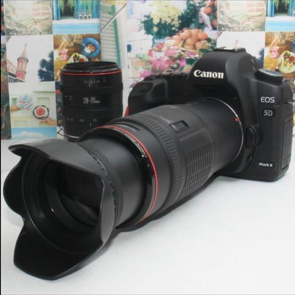 2023年最新】ヤフオク! -eos 5d(デジタルカメラ)の中古品・新品・未