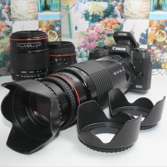 Yahoo!オークション -「カメラ Canon EOS」の落札相場・落札価格