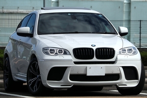 LCI【M Performance】X6　LEDヘッドライト　チップチューニング　20AW　サンルーフ　ビルシュタインダンパー　xDrive 35i