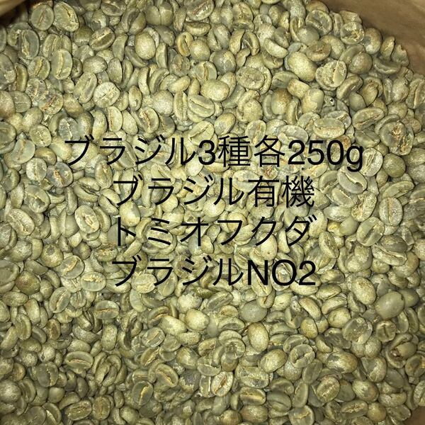 コーヒー生豆 ブラジル3種各250g