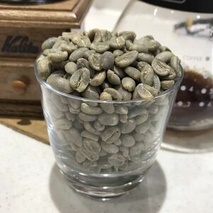 コーヒー生豆　ブラジルNO2 800g
