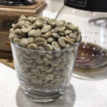 コーヒー生豆 有機栽培5種各100g_画像5