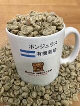 コーヒー生豆 有機栽培5種各100g_画像9