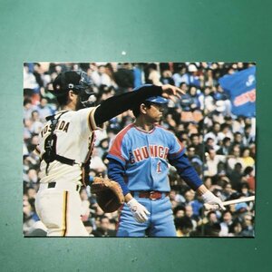 1979年　カルビー　プロ野球カード　79年　セントラルリーグ　二塁手部門　第2位　中日　高木　　　【管C08】
