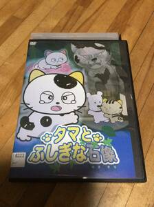 　　　DVD 　　　タマとふしぎな石像 タマ＆フレンズ うちのタマ知りませんか　　　 レンタル落ち