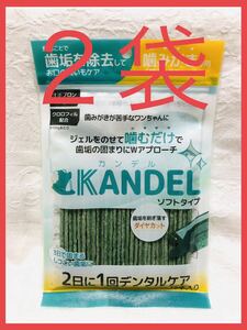 【15本x２袋】カンデル KANDEL ソフトタイプ 犬のデンタルケア(ドクターワンデルDr.Wandelのジェルをのせるスティック)