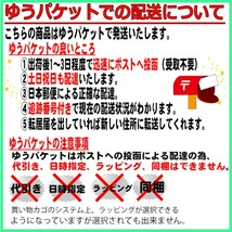 ラーメンスープ 豚骨 小袋 業務用 メール便 ご当地ラーメン スープ 豚骨ラーメンスープ 55gｘ6袋セット とんこつ_画像4