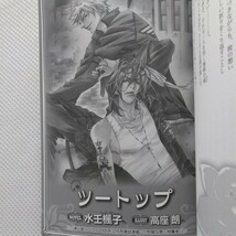 非売品小説リンクス３周年記念小冊子　和泉桂篠崎一夜華藤えれな水壬楓子香坂透松本テマリ蔵王大志高座朗柊平ハルモきたざわ尋子雪舟薫_画像8