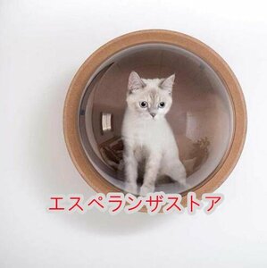 [エスペランザストア]猫 キャットウォーク キャットステップ ベッド ハウス 壁付け 天然木 宇宙