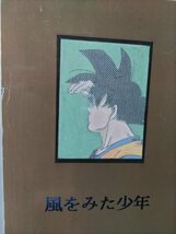 ドラゴンボール同人誌、風をみた少年、漫画、悟空家族メイン、CーZERO_画像1