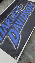 ハーレーダビッドソン フラッグ P343 HARLEY-DAVIDSON 両面印刷 ロゴ USA ポスター ガレージ装飾 チョッパー タペストリー 旗 バナー _画像9