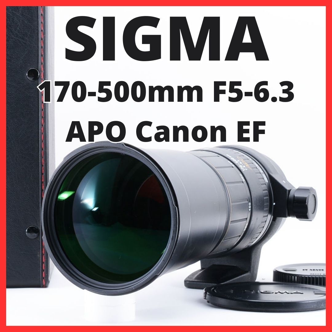 2023年最新】ヤフオク! -sigma 170-500mm f5-6.3 apoの中古品・新品