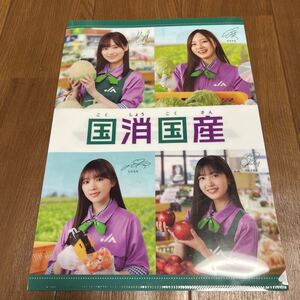 ★乃木坂46 クリアファイル　★★