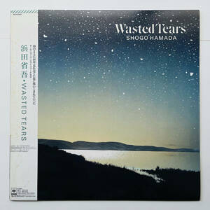 貴重盤 レコード〔 浜田省吾 - Wasted Tears 〕セルフカバー・バラード・セレクション もうひとつの土曜日 / ウェステッド・ティアーズ