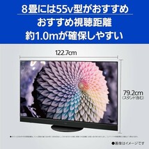 【1円スタート/茨城県つくば市引取限定】PANASONIC TH-55JZ2000 VIERA 55V型 地上・BS・110度CSデジタル 4K対応 有機ELテレビ 2021年製_画像2