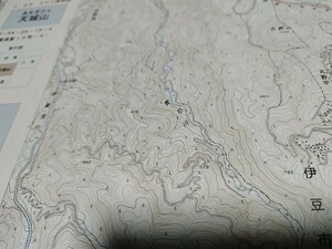 天城山　静岡県　古地図　 地形図　地図　資料　46×54cm　書き込み　昭和44年測量　　平成21年印刷　発行　　B2309