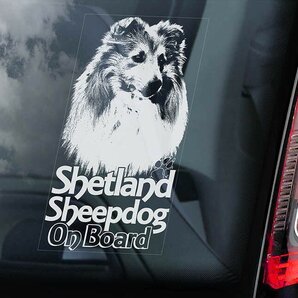 ◆送無@シェットランド・シープドッグ@外張り カーステッカー 195x100mm 外貼り ウインドウ シール@シェルティ DOG ON BOAD 犬 D2@2611-4