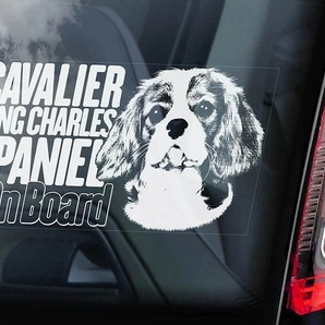 ◆キャバリア・キング・チャールズ・スパニエル ② 外張り カーステッカー 175×100mm@カー ステッカー 車 ウインドウ シール D2 3871
