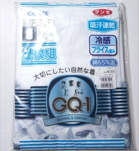 GUNZE グンゼ GQ-1 V首スリーブレスシャツ 吸汗速乾 冷感 フライス編み 綿65%混 ホワイト メンズ Mサイズ 2枚組