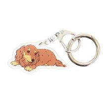 新品★アクリルキーホルダー★ダックス★カール★犬雑貨★送料180円可_画像1